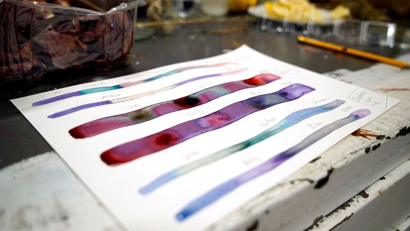 Ein Blatt Papier auf einem Tisch. Auf dem Papier sind mehrere bunte Farbstriche aus wässrigen Pflanzenfarben in dunklem Pink, Blau und Lila.